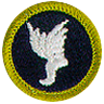 Athletics Merit Badge