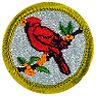 Bird Study Merit Badge