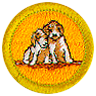 Dog Care icon