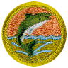 Fishing Merit Badge