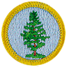 Forestry Merit Badge