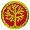 Genealogy Merit Badge