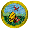 Nature Merit Badge