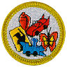 Collections Merit Badge