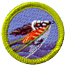 Fly Fishing Merit Badge