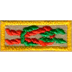 Webelos Arrow of Light Award icon