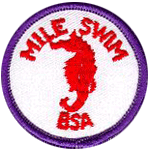 Mile Swim BSA icon