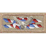 NESA Outstanding Eagle Scout Award icon