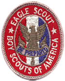 Eagle icon